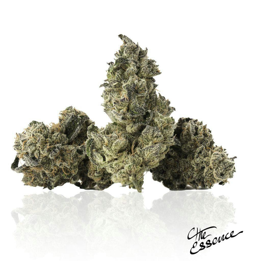 The Grape Gasoline