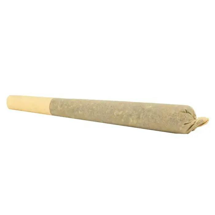 MINT CHOCOLATE CHIP - 1g (HYBRID)