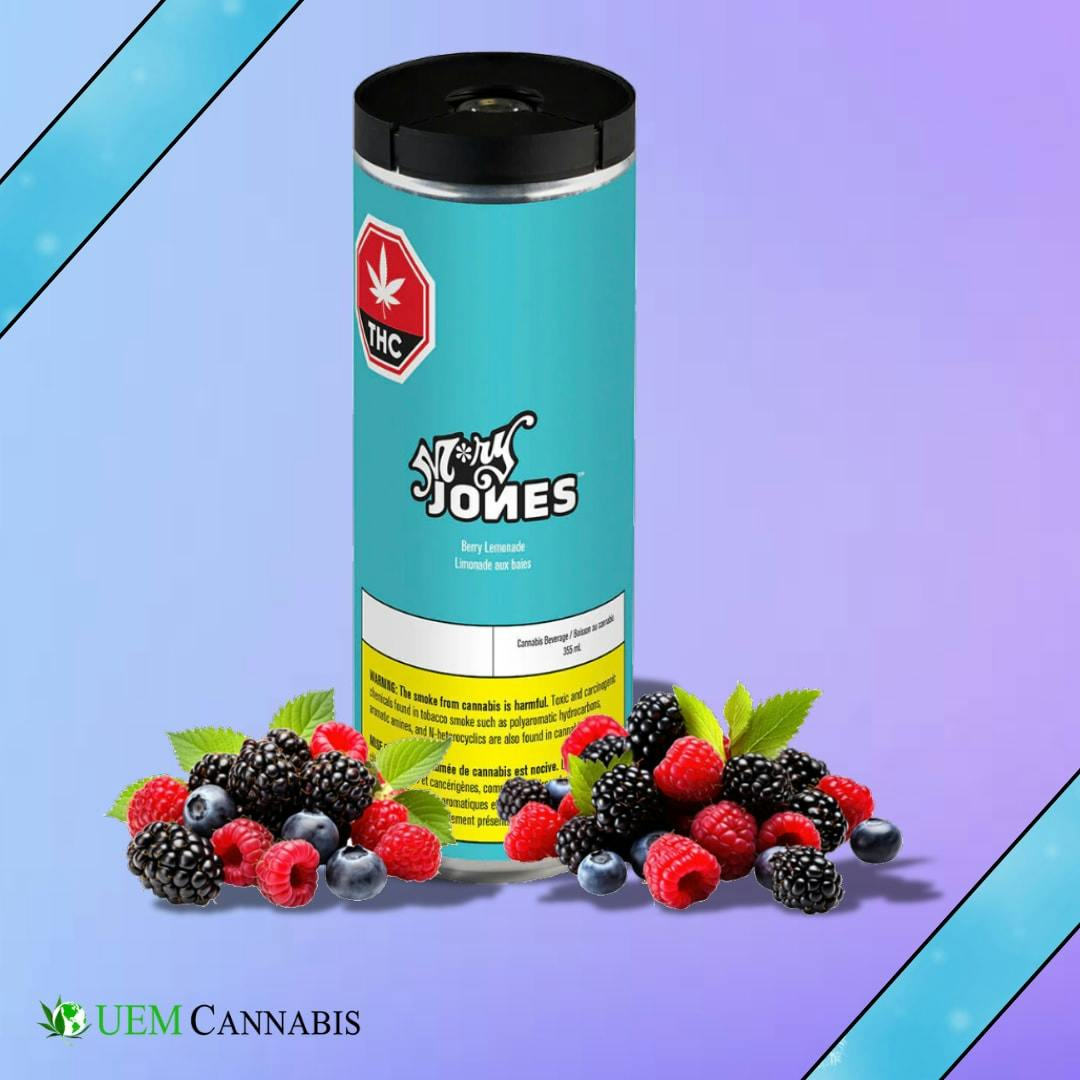 BERRY LEMONADE - 355ml