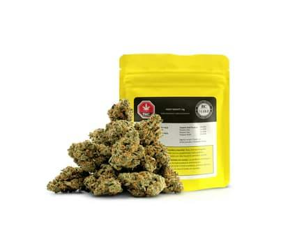 14G - Heavy Gravity LTO by BC 1/2 OZ (INDICA)
