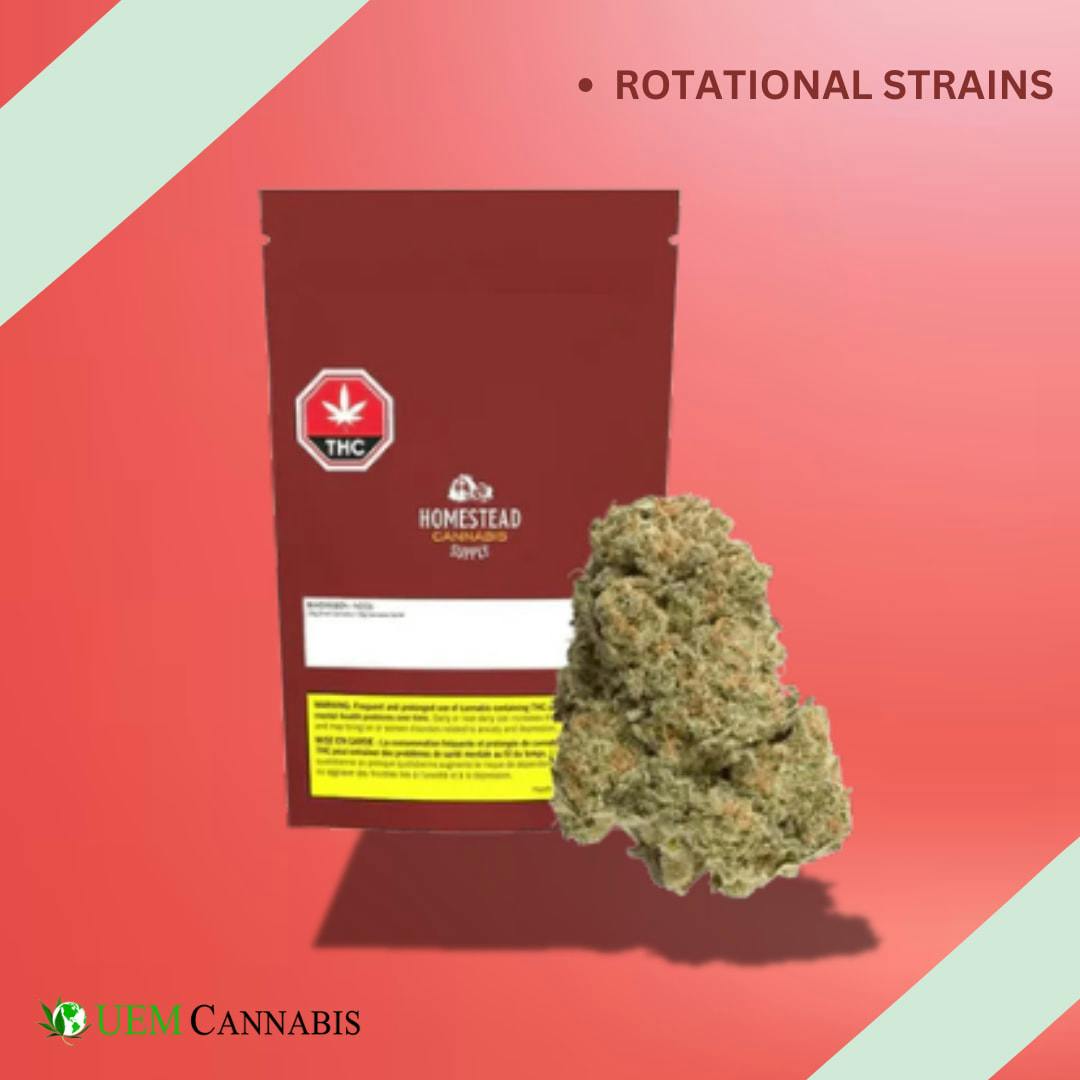 BANDWAGON INDICA RTNL FLOWER - 7G (INDICA)