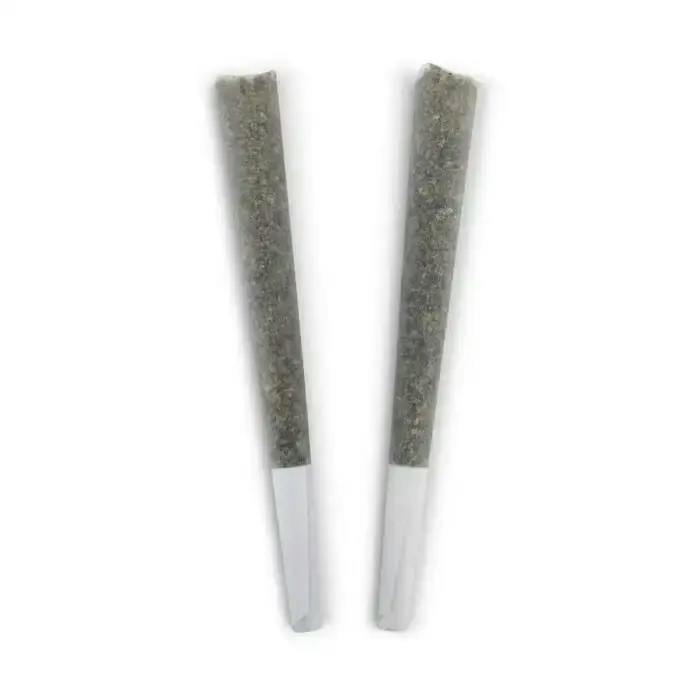 2PK - Honey Bear by BC Doobies (INDICA)