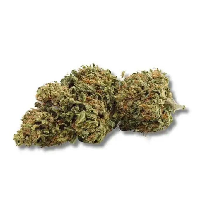 7G - Daydream Infused CBD Flower by Grown Here Farms (INDICA)
