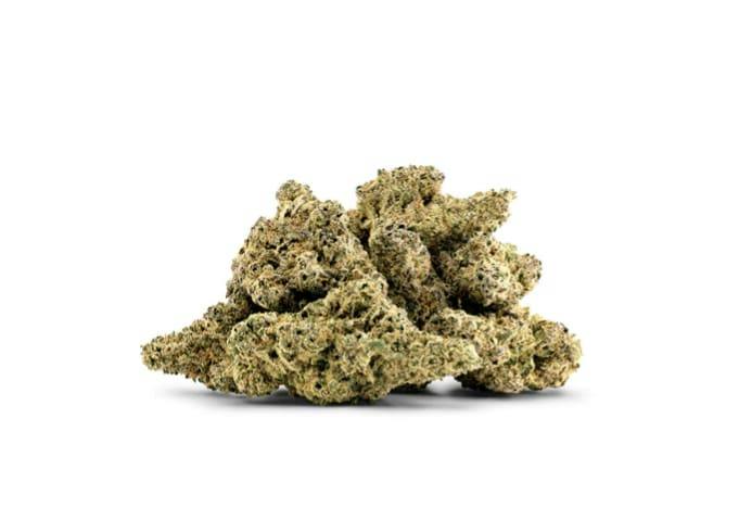 14G - Moby Dick by Good & Baked (SATIVA)
