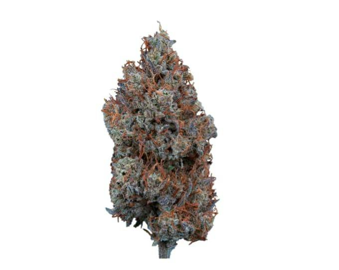 3.5G - Mystic Mountain 1.5:1 Flower by Sweetgrass Organic Cannabis (SATIVA)