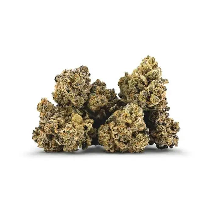 3.5G - Trash Panda Smalls by BC Smalls (INDICA)