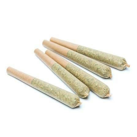 5PK - Apple Frittz Infused Pre-Rolls by DUNN Cannabis (HYBRID)