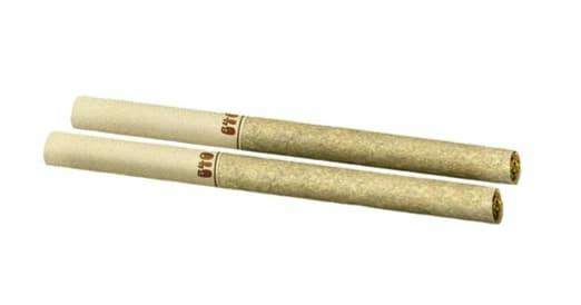 2PK - Daytrippers Galactic Jack Pre-Rolls by Back Forty (SATIVA)