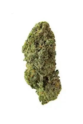 BANDWAGON SATIVA RTNL FLOWER - 7g