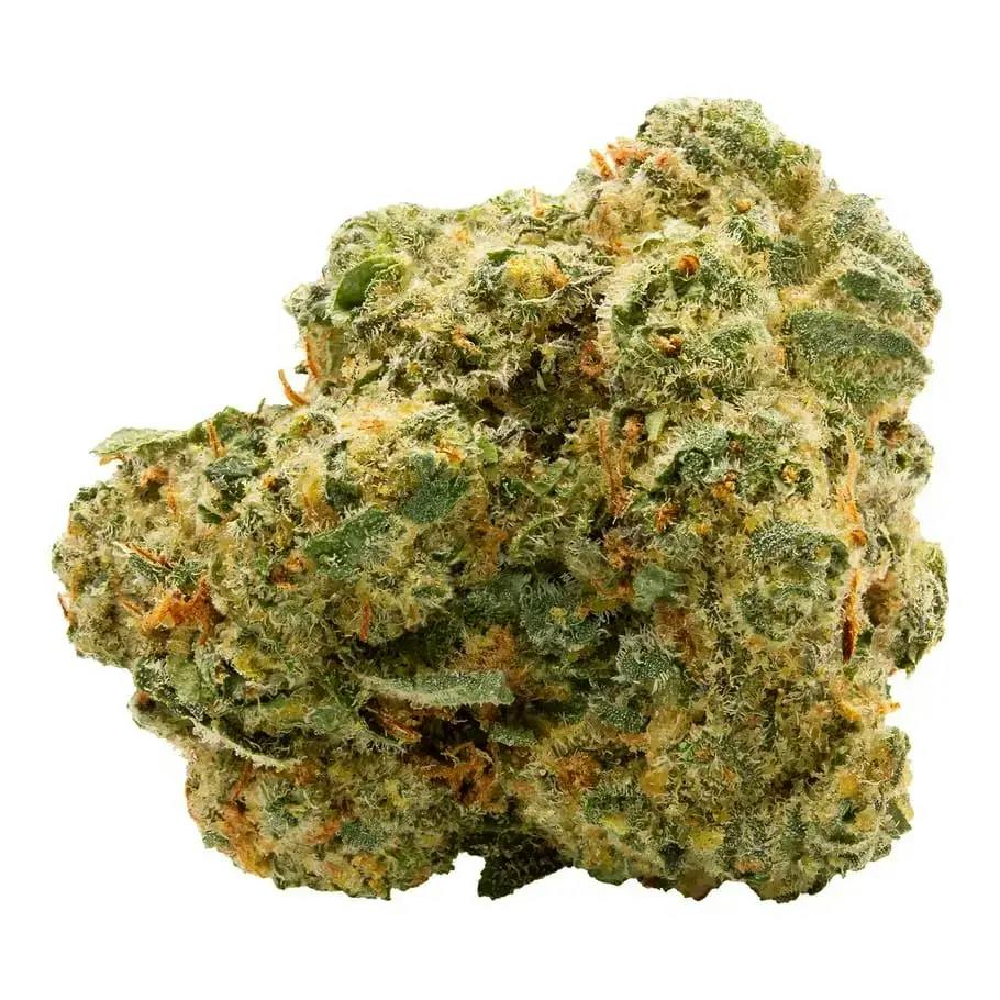 28G - Blue Thai #2 by Spinach