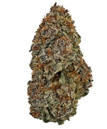 3.5G - Cantucci Organic (LSO) by Cappellano