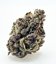 RM Glitter Bomb 5g Jar Flower