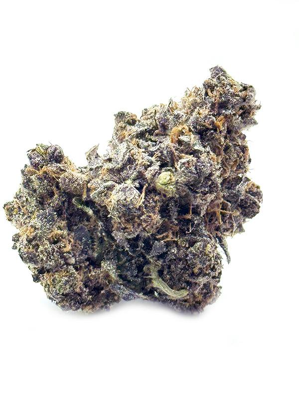 RM Thin Mint Cookies 5g Jar Flower