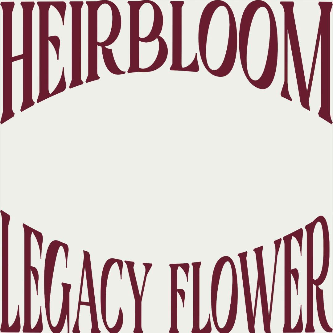 Heirbloom 1g Terp Sugar Bubba Kush