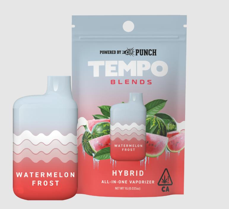 Tempo Blends 1g All-in-One Watermelon Frost