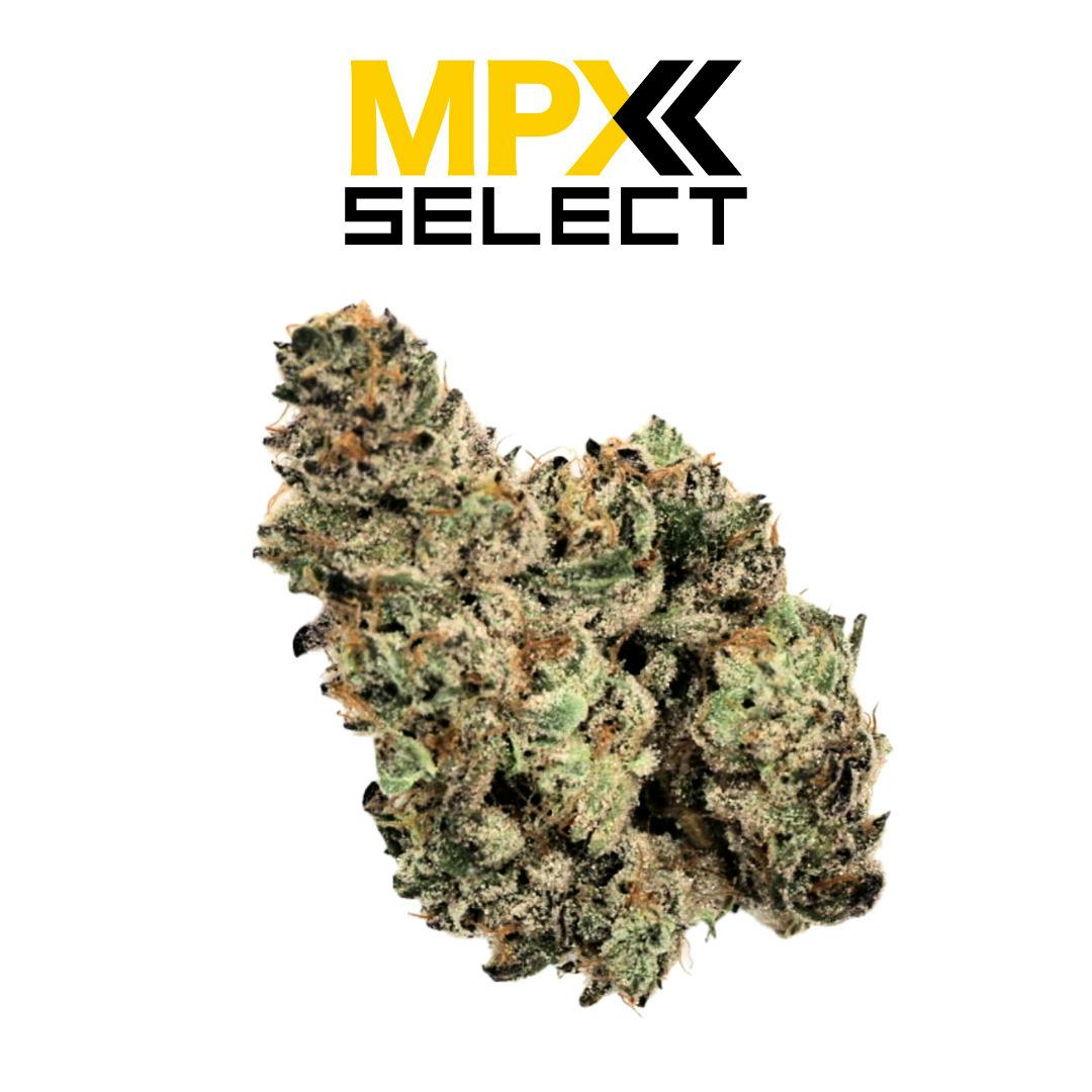 Mpx Select Kashmir
