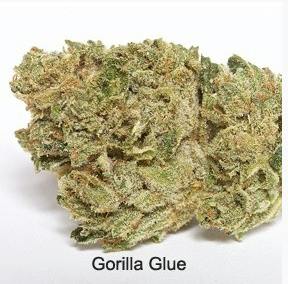 GORILLA GLUE [H] - 4 g