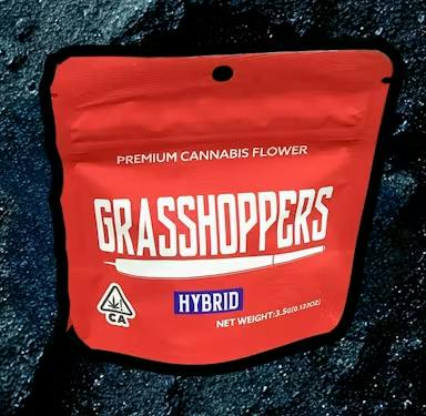 Grasshopper: GRASSHOPPER [H] FLOWER - 3.5 g