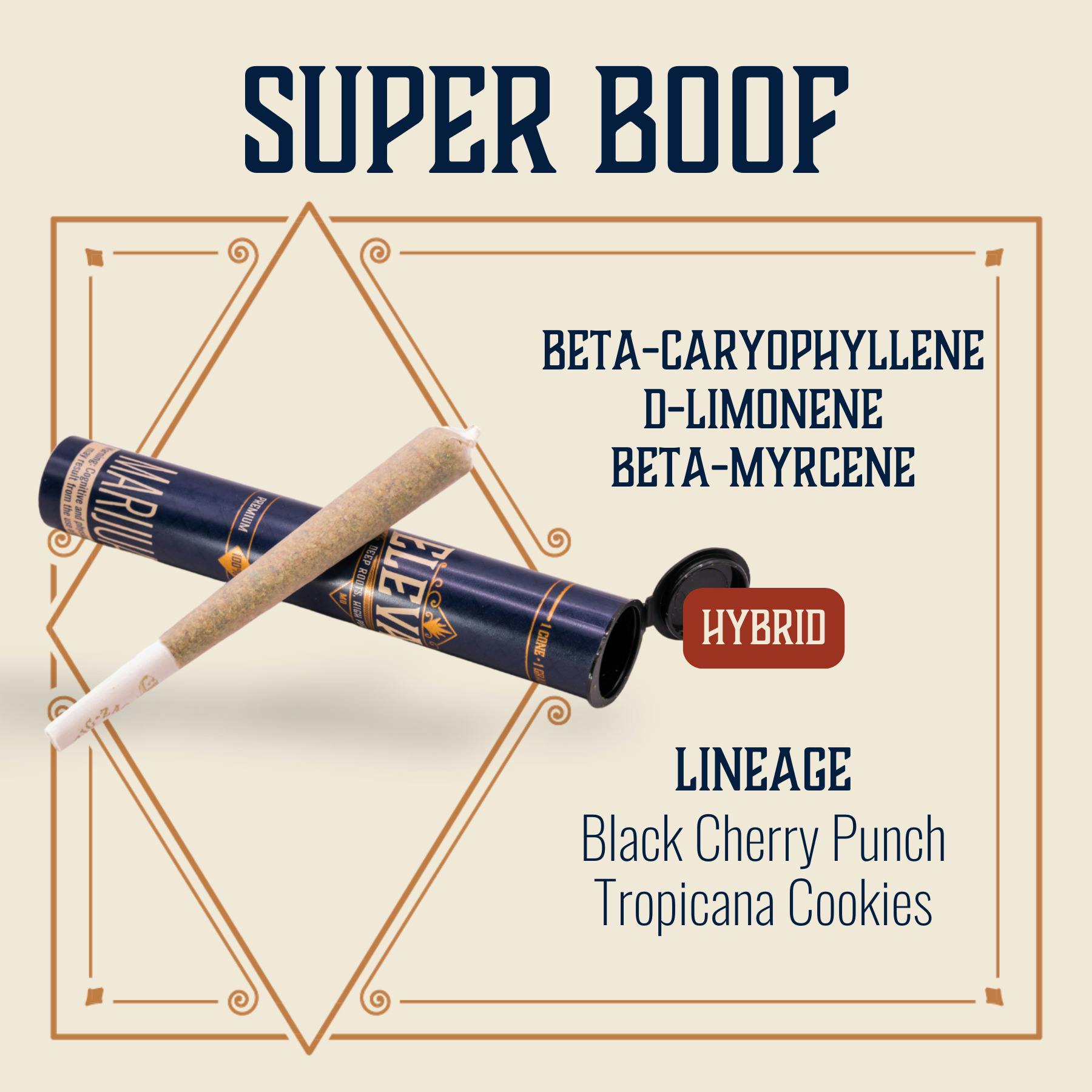 Super Boof | Pre-Roll Cone
