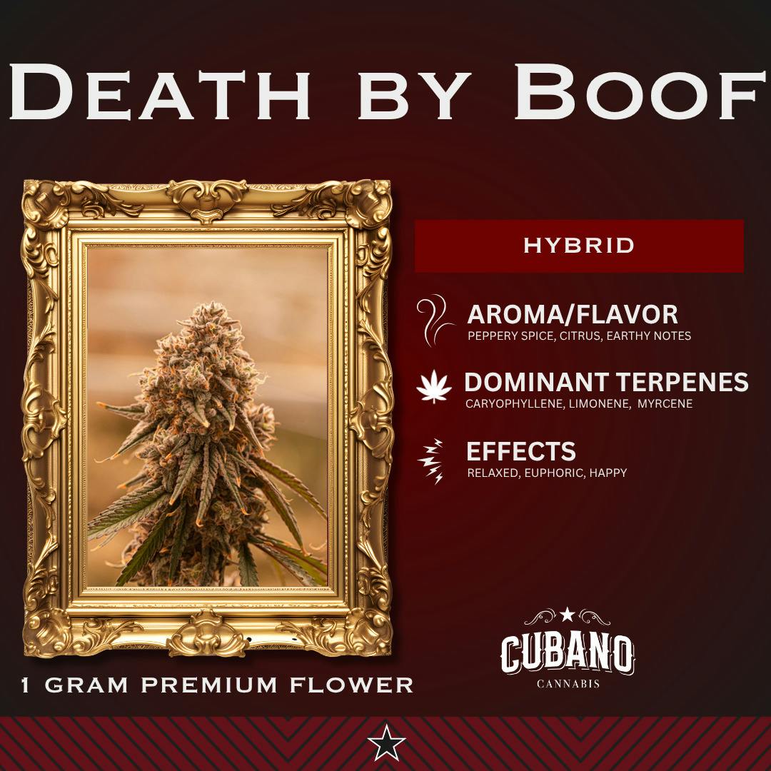 Death By Boof