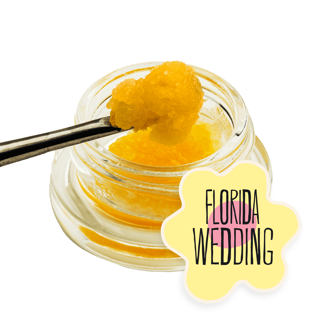 Florida Wedding