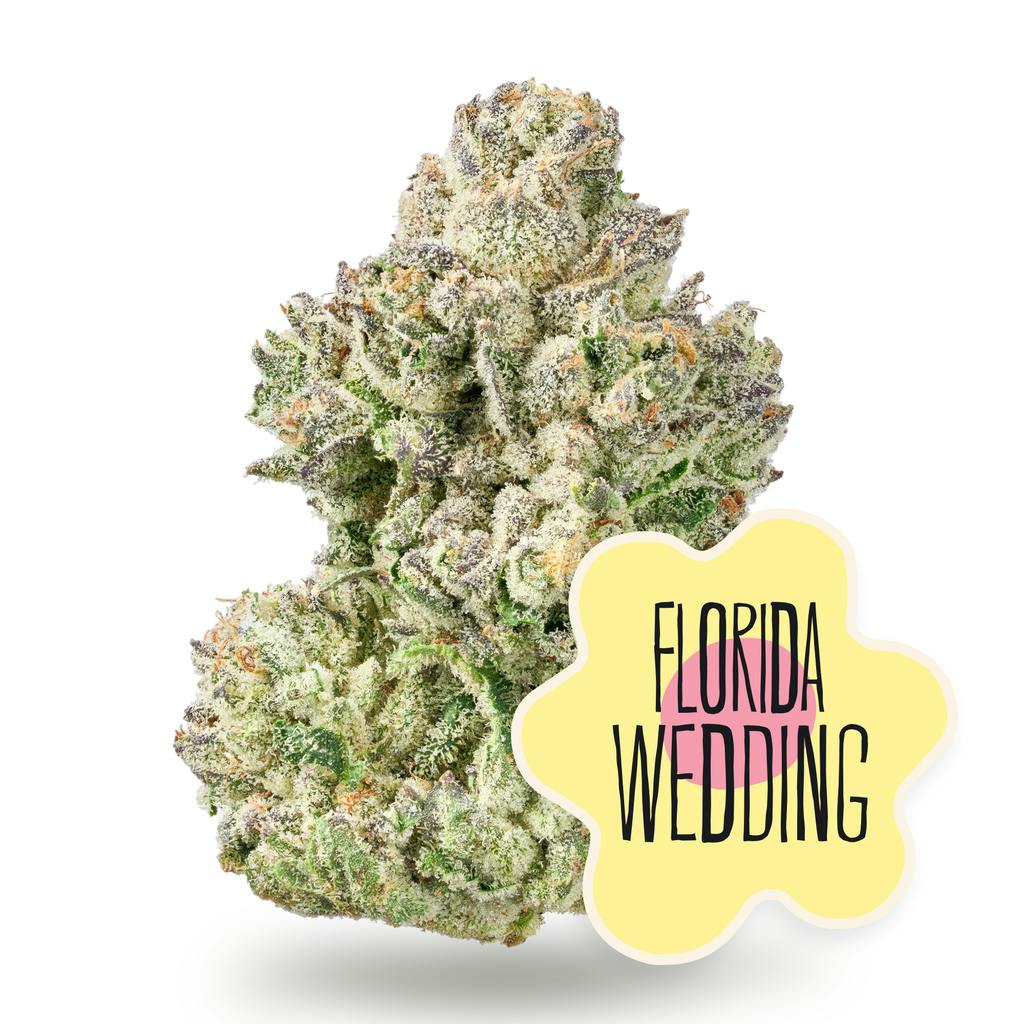 Florida Wedding Whole