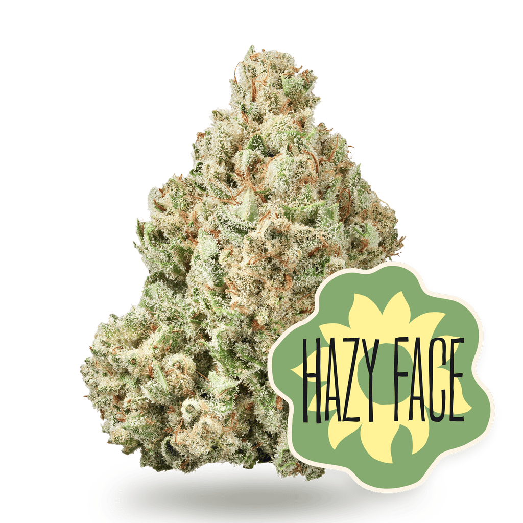 District Cannabis Hazy Face Whole Flower 3.5g