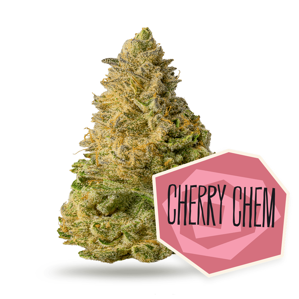 District Cannabis Cherry Chem Whole Flower 3.5g T1