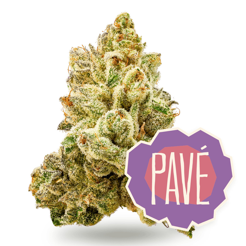 Pave Whole T4