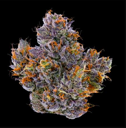 RAPPER WEED - 3.5 g