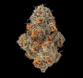 KRYPTOCHRONIC: KRYPTOCHRONIC 3.5G
