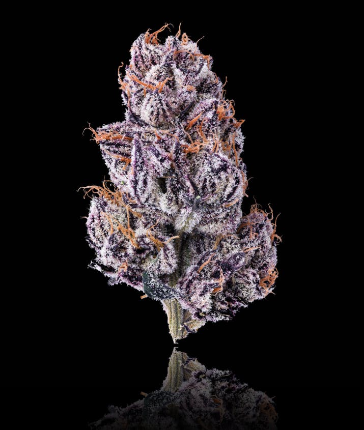 New Money: 3.5 g