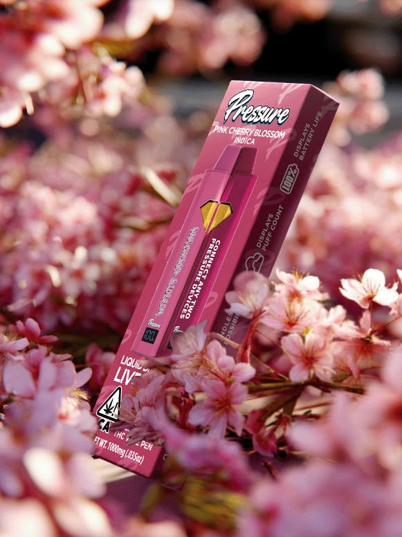 PINK: Cherry Blossom
