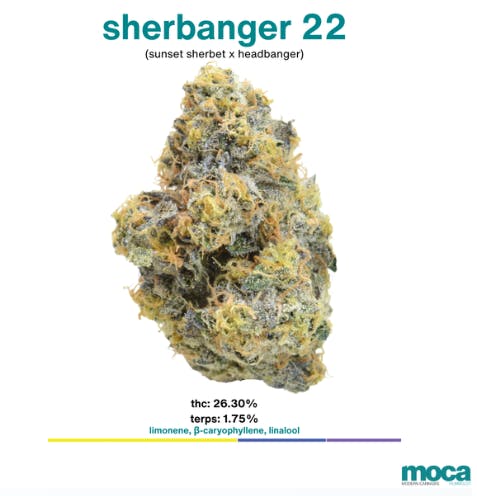 Sherbanger: 3.5 g