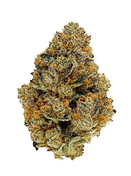 DOUBLE: DOUBLE LANTERN - 7 g