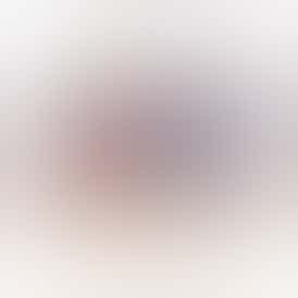 Bic Lighter - Regular