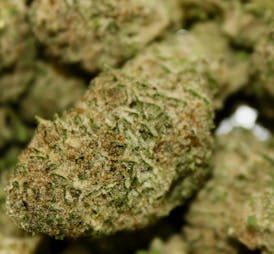 Cherry Punch