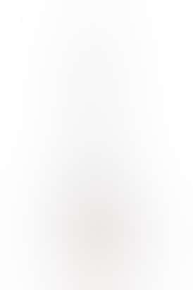 303 Glasslab 10" Beaker