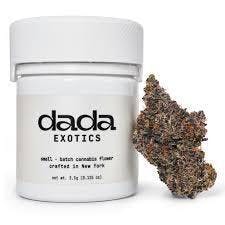 Dada | Hash Burger | Flower