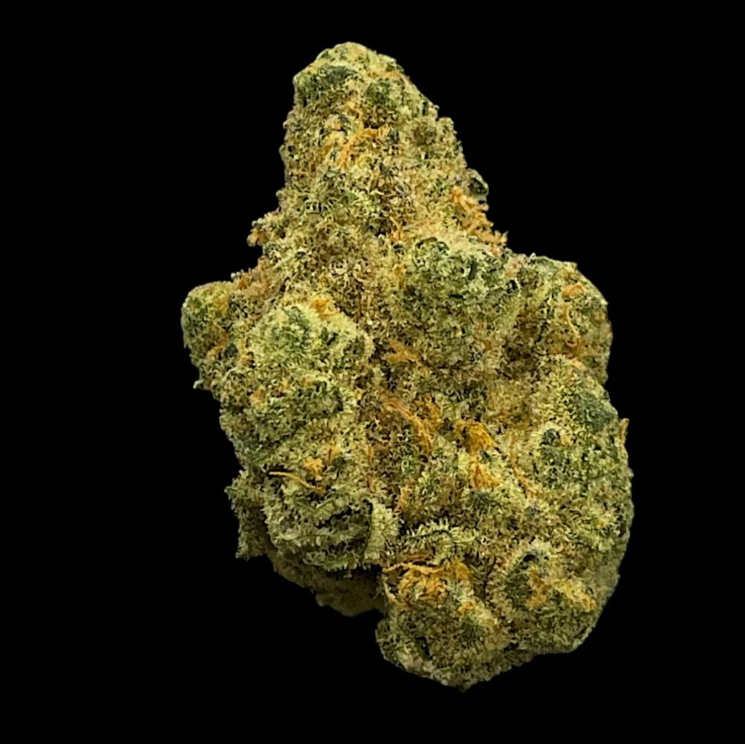 Apollo | Garlicane | Flower