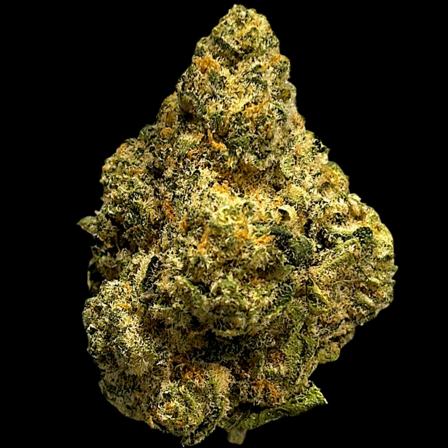 Apollo | Scottie's Cake | Flower