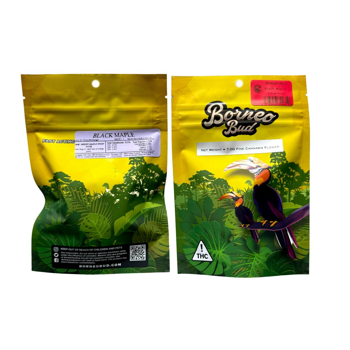 7G|Borneo Bud|Black Maple