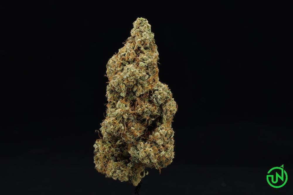 Durban Poison