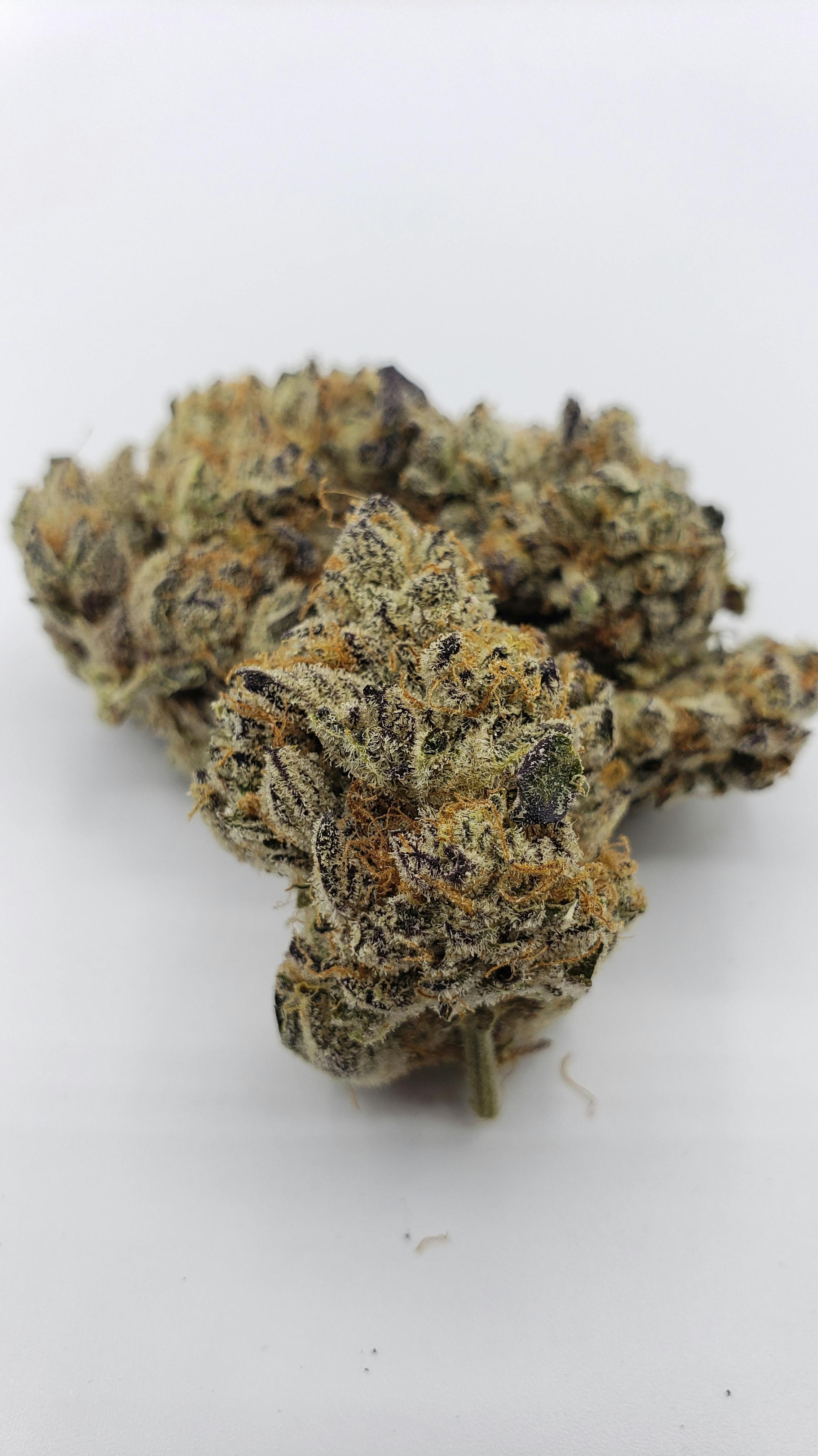 Gelato 41 x Dosido: Grown By Cannabis Nation