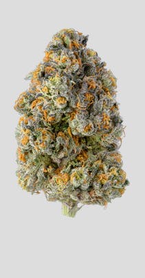 Unbound Flower - Frosted Runtz, 3.5 grams