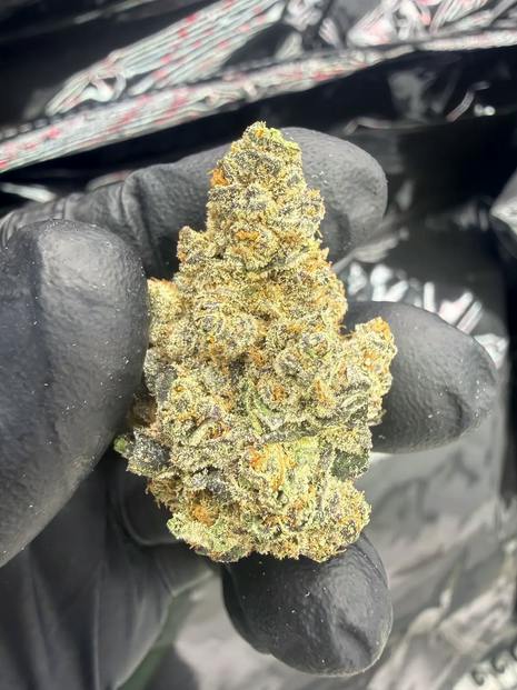 Hoka Haze (RCWM) - Sunset Tea, 3.5 grams