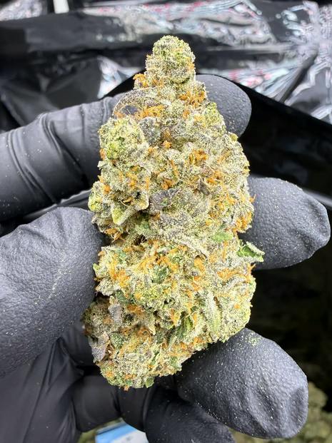 Hoka Haze (RCWM) - Jelly Breath, 3.5 grams
