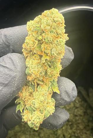 Hoka Haze (RCWM) - Apple Fritter, 3.5 grams