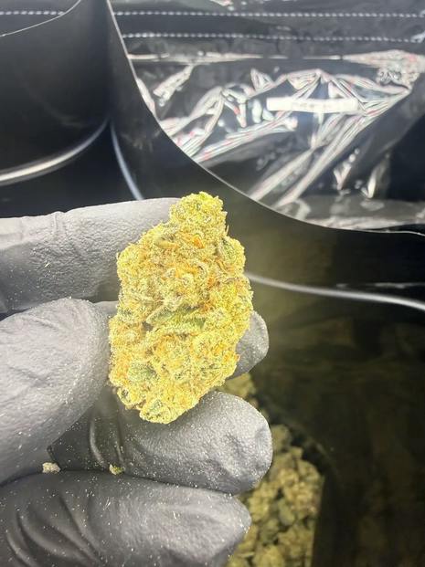 Hoka Haze (RCWM) - Cake Mix, 3.5 grams