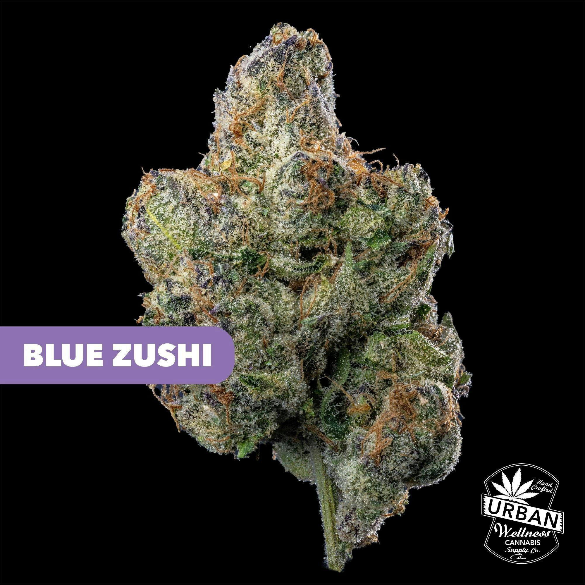 Blue Zushi | Urban Wellness